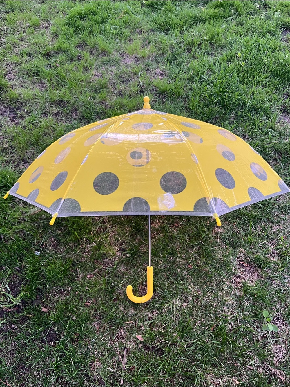 Umbrella